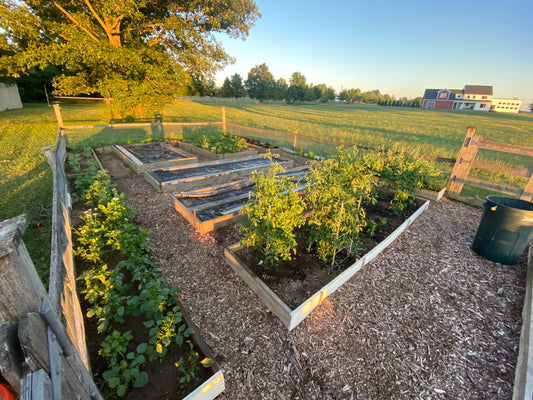 Starting Vegetable Seeds Indoors With a Soil Blocker