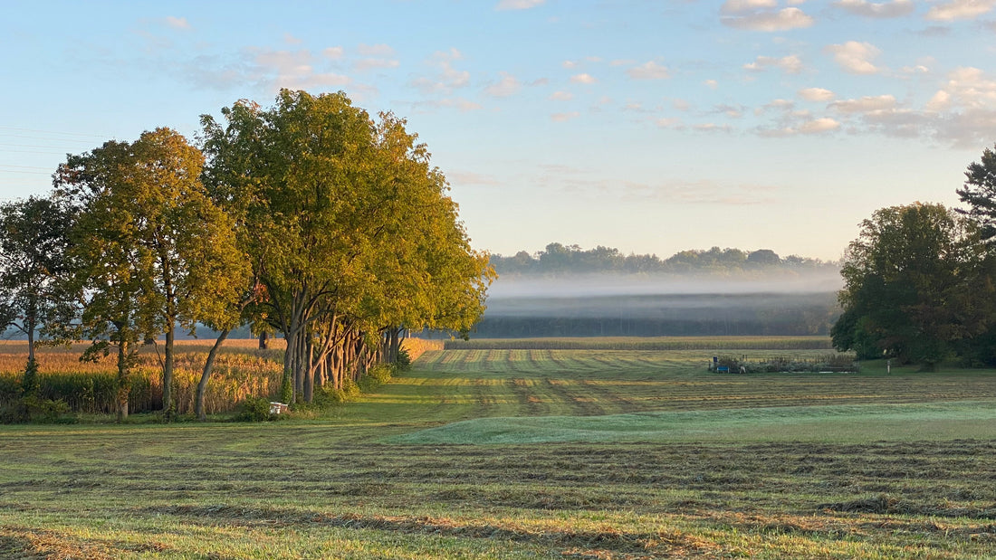 Fall on the Farm