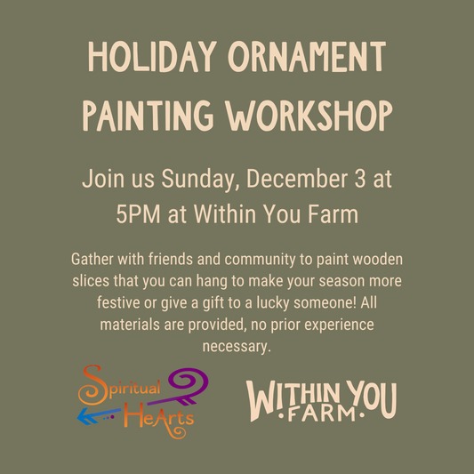 Holiday Ornament Painting Workshop (12/3)